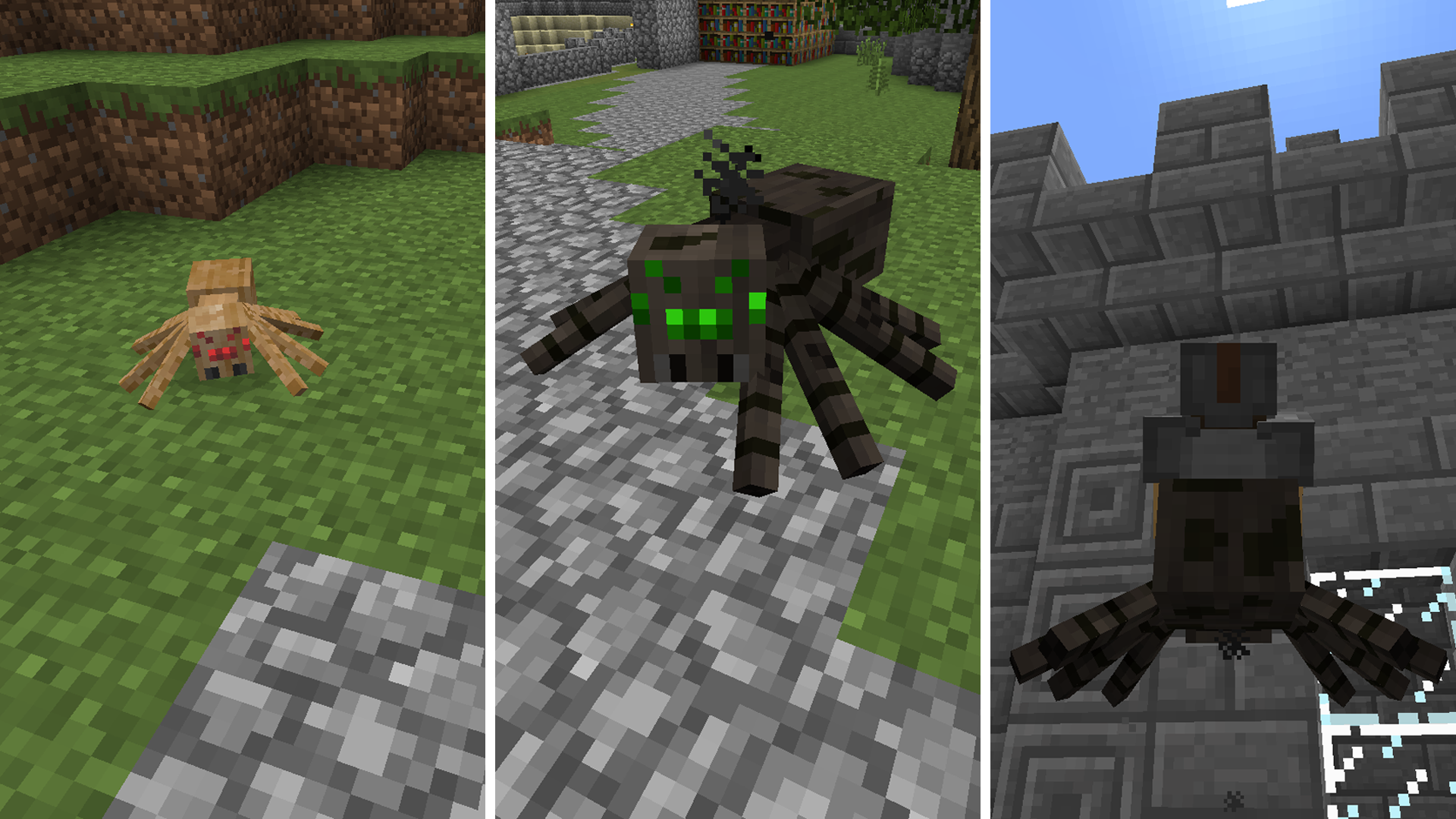 What Do Spiders Eat In Minecraft