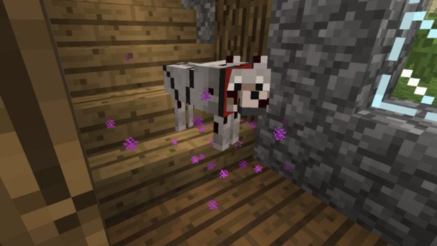 Doggy Talents 1 18 Minecraft Mods, How To Make A Pet Bed In Minecraft No Mods