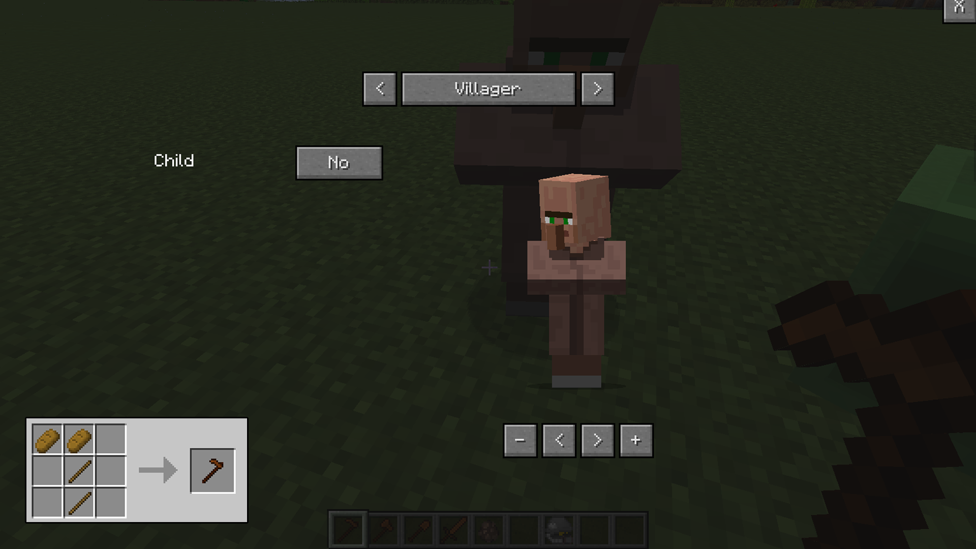 How to Change the Appearance of the NPC in Minecraft