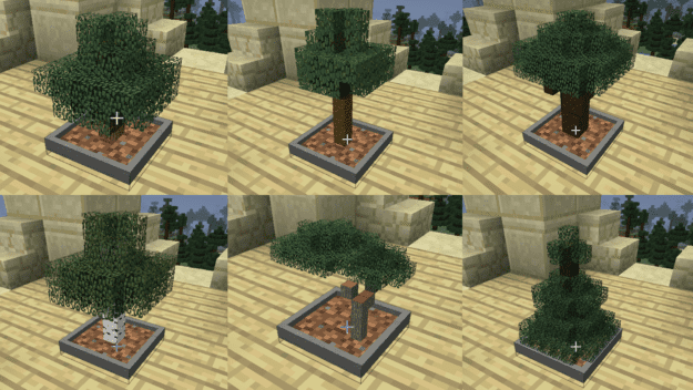 Minecraft Bonsai Tree Mulch - bonsai tree
