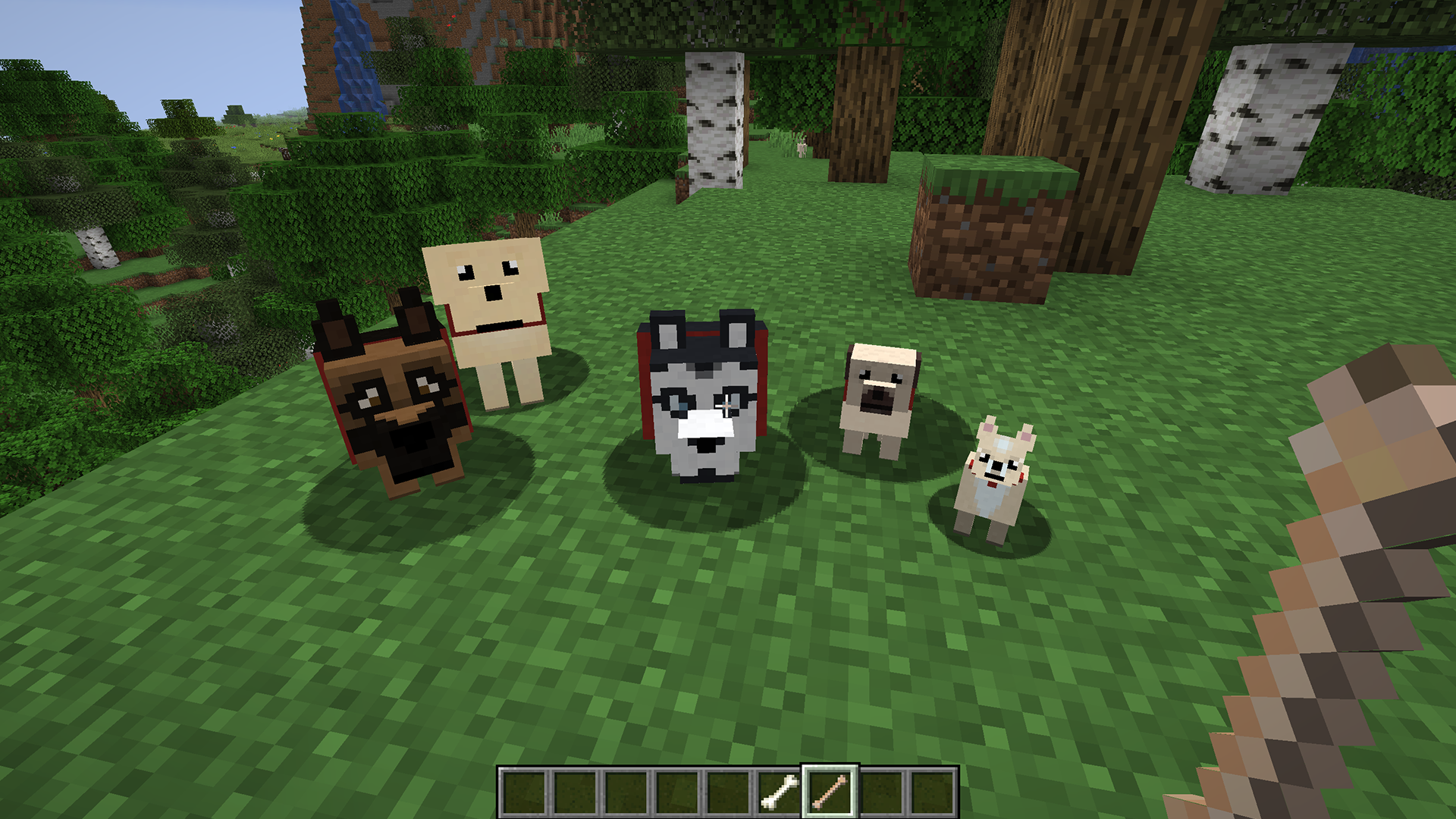 Dogs Minecraft