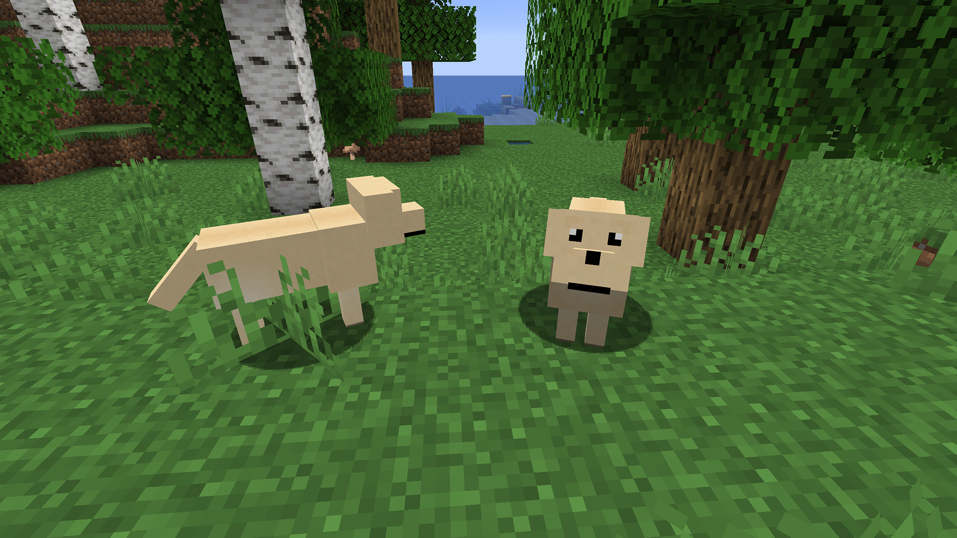 More Dogs (1.15.2) Minecraft Mod Download